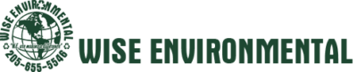 Wise Enviornmental Logo