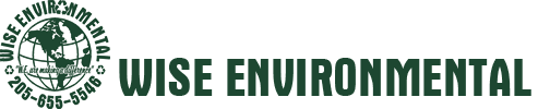 Wise Enviornmental Logo
